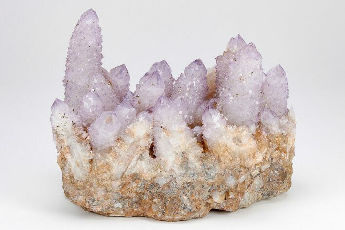 Cactus Quartz (Amethyst) Crystal Cluster - South Africa #207562